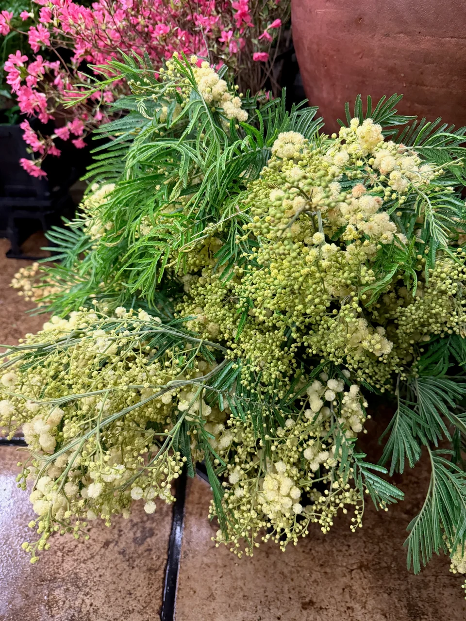 季節の花・店内 B04-160