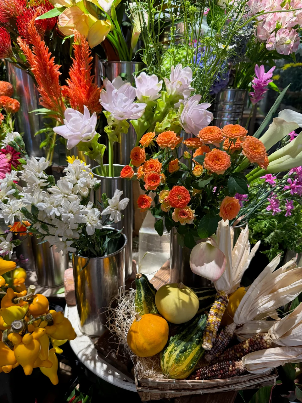 季節の花・店内 B03-057