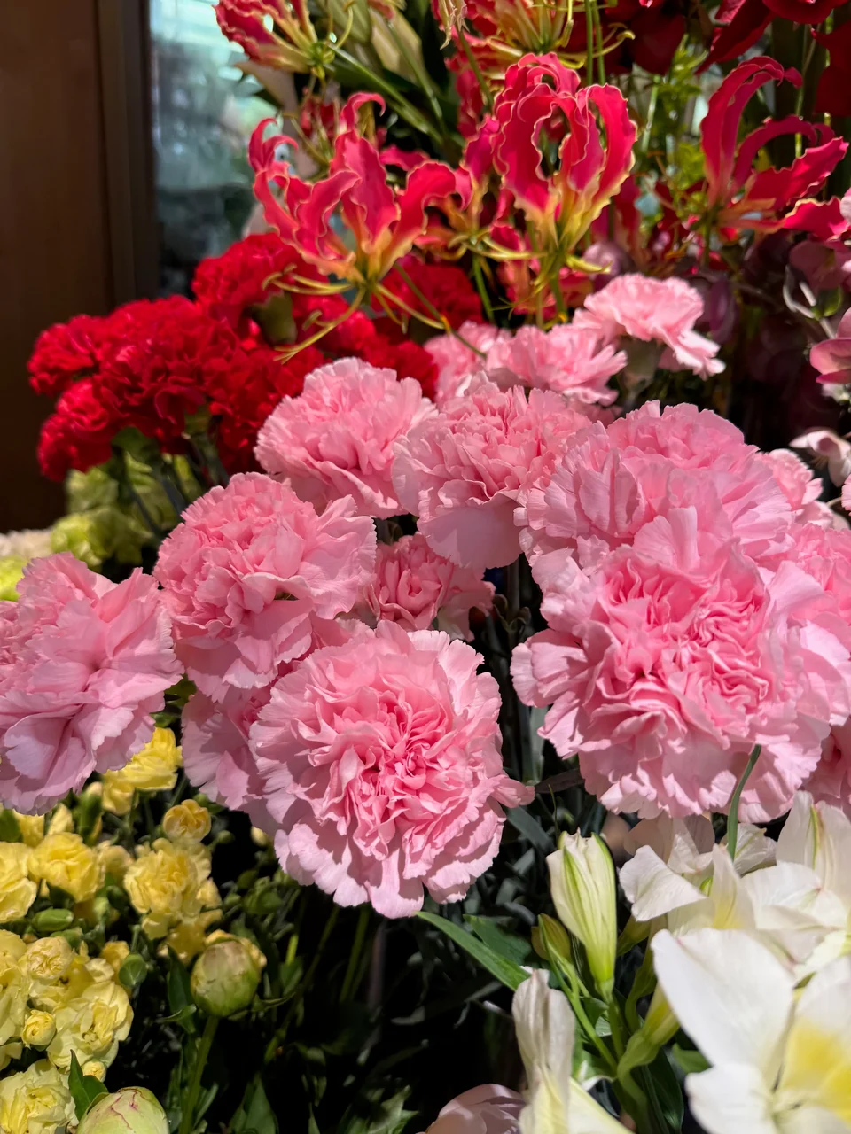 季節の花・店内 B04-174