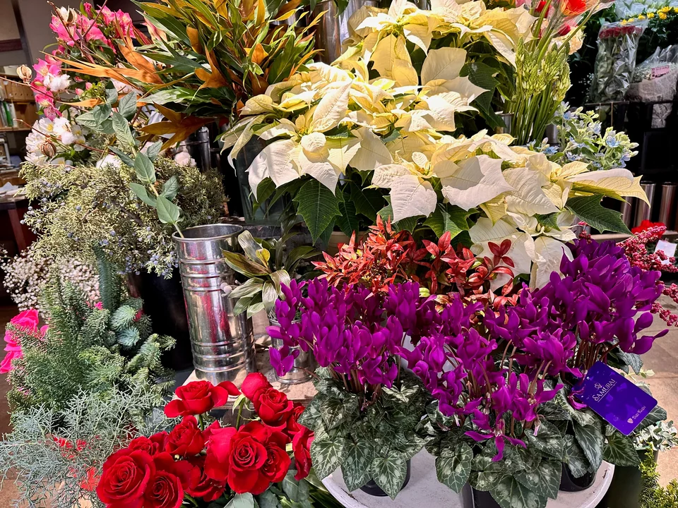 季節の花・店内 B04-345