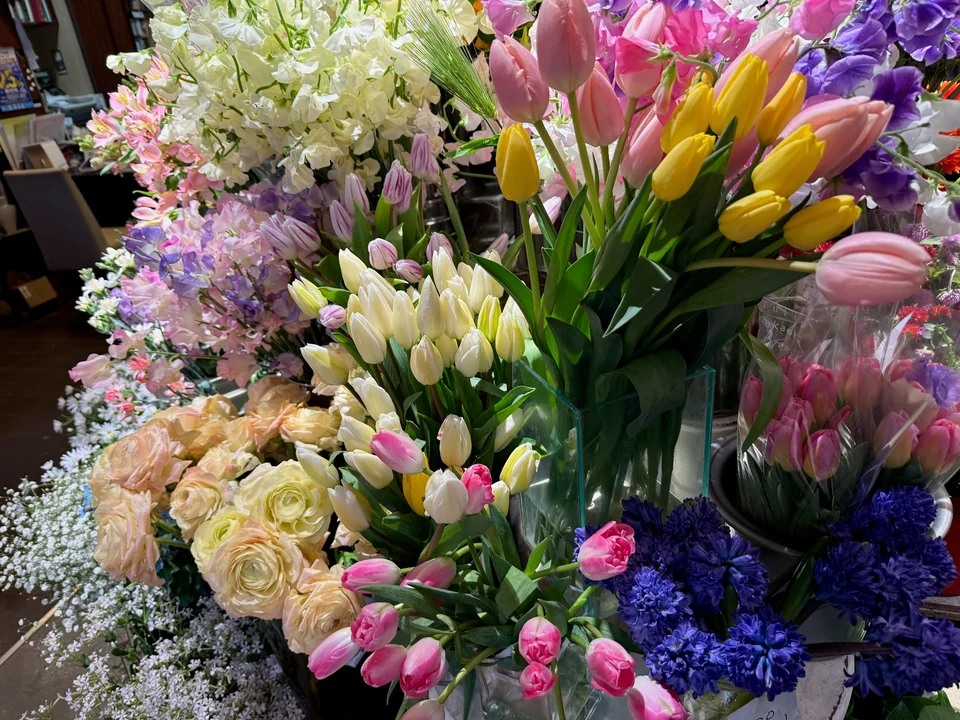 季節の花・店内 B02-076