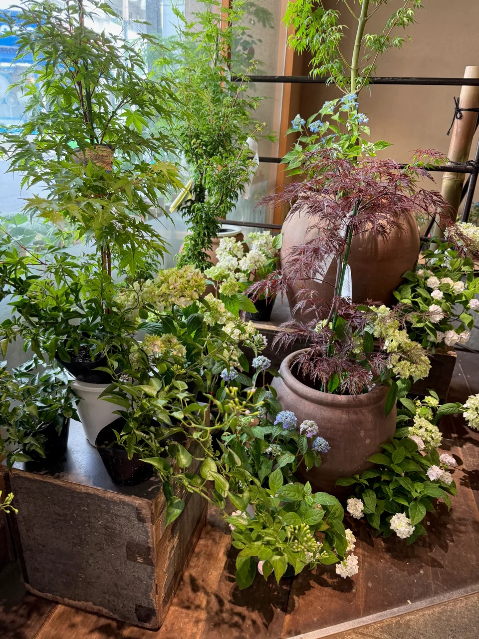 枝葉や季節の花、花器が並ぶ花長商店の店内