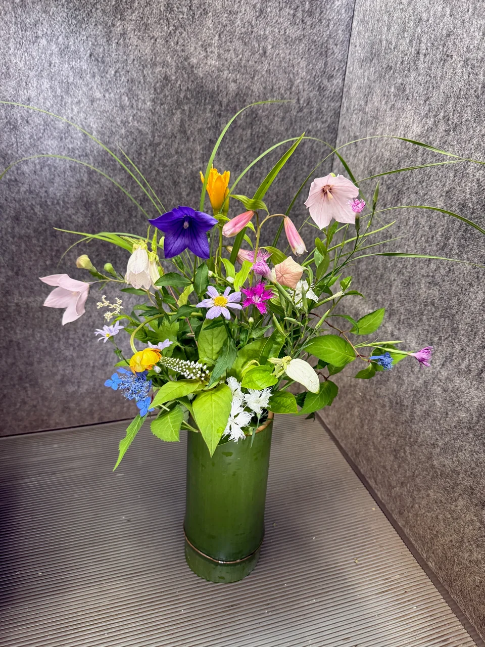 軽やかな草花