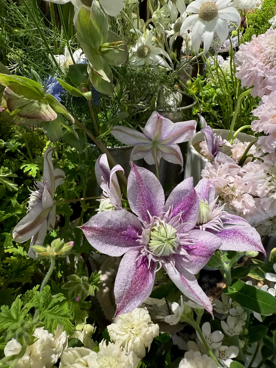 季節の花・店内 B04-140