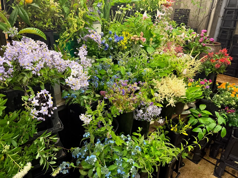 店内に並ぶ花長の季節の花材