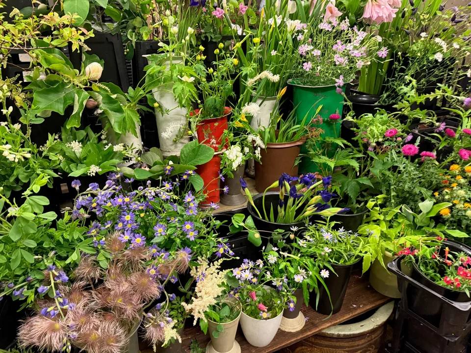 店内に並ぶ季節の花材 P020